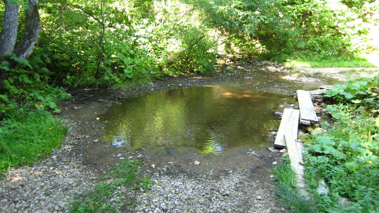 a0242984_3352069.jpg