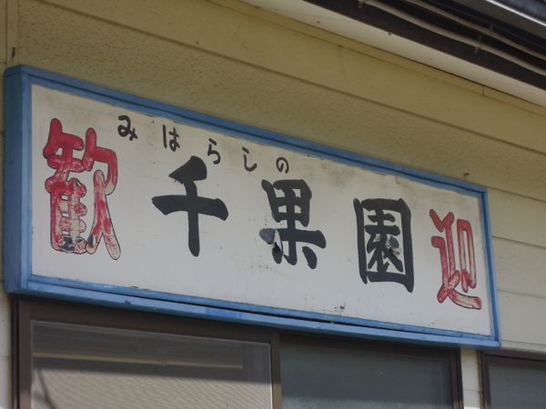 勝沼ぶどう狩り_e0030586_23391755.jpg