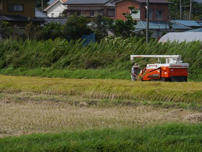 成東の史跡巡りで16キロ争覇、今日は3万歩越えでした(午前の部)_b0175688_21493071.jpg