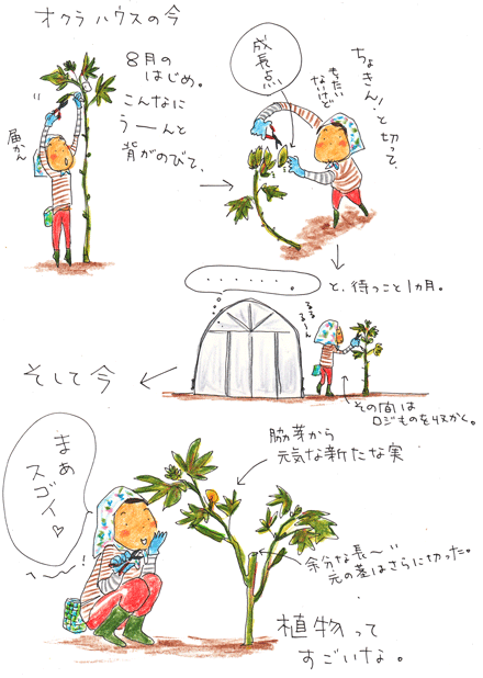 f0236291_559912.gif