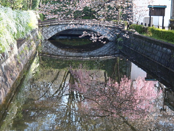 a0288500_11365327.jpg