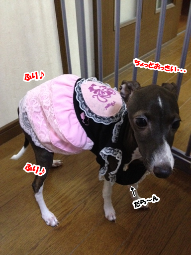 e0290901_17104679.png