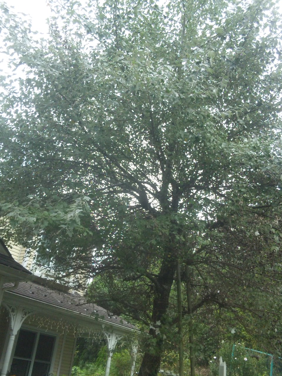 b0220002_17451470.jpg