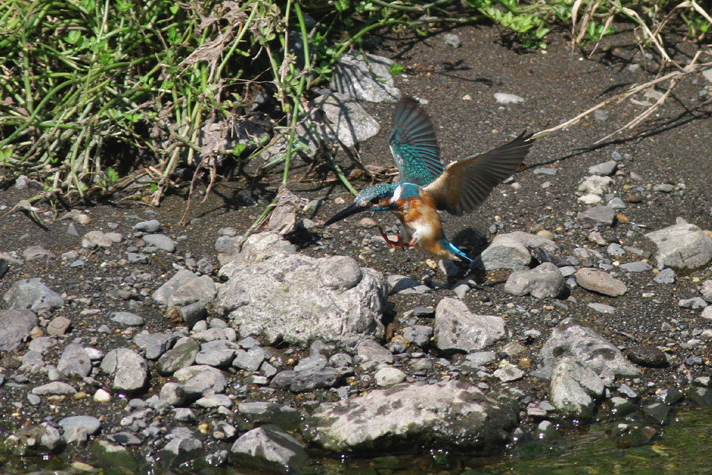 f0095702_21203110.jpg