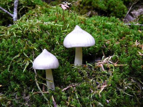 f0118904_20285046.jpg