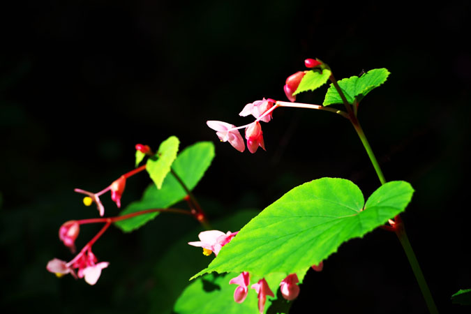 a0263109_15511920.jpg