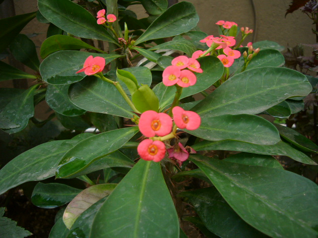 a0144610_14411651.jpg