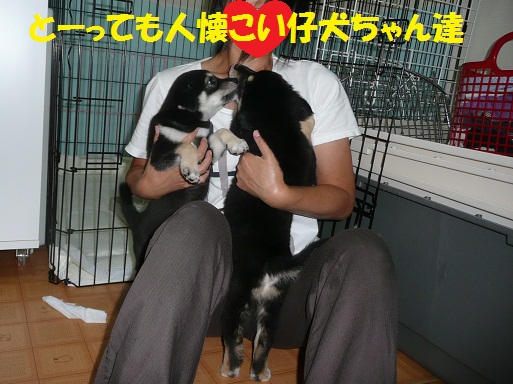 可愛いお客さま♪_f0121712_2262059.jpg