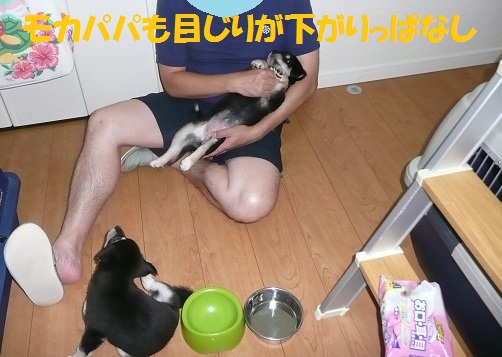 可愛いお客さま♪_f0121712_2262658.jpg