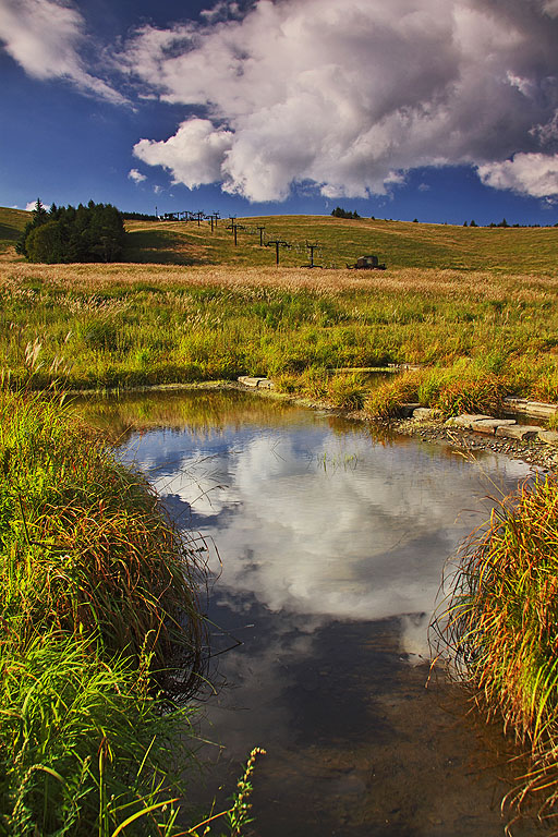 b0010915_17315697.jpg