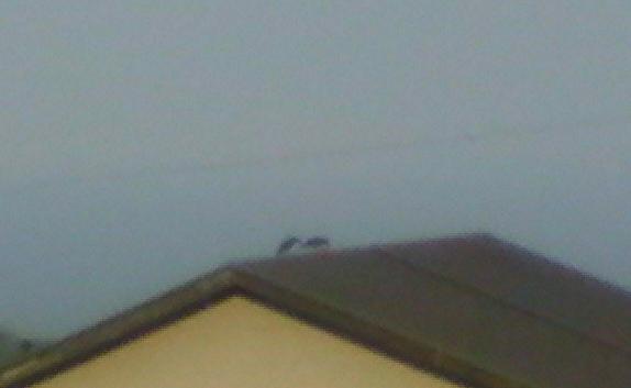 c0097620_03922100.jpg