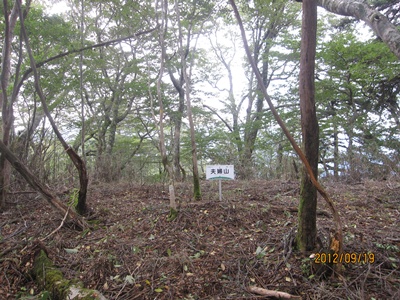 f0193521_83774.jpg