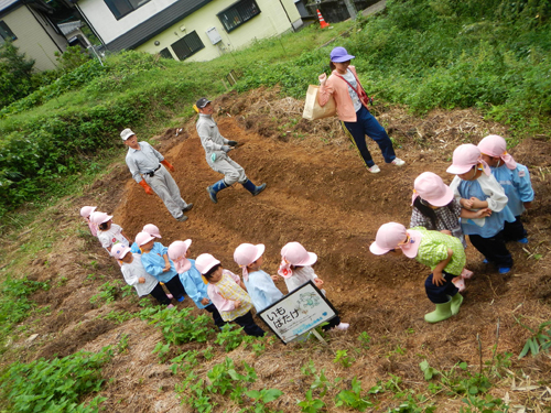 じゃがいもを植えました!!_c0194522_13415499.jpg