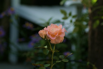 f0170524_16242995.jpg