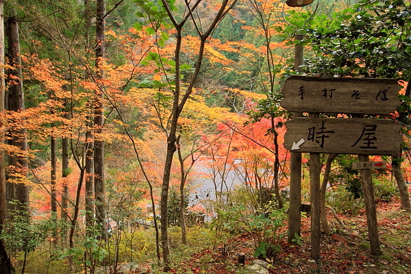 手打ち蕎麦　時屋_a0165631_11524280.jpg