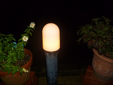 c0237432_1618589.jpg