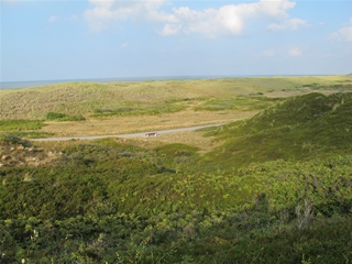 f0224632_00168.jpg