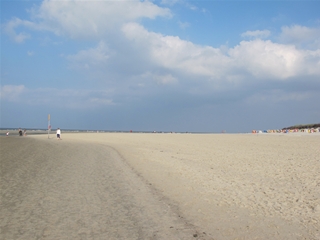f0224632_23563312.jpg