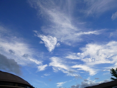 c0113733_23151133.jpg