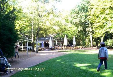 <Nordpark>秋の花が満開_a0289037_18295381.jpg