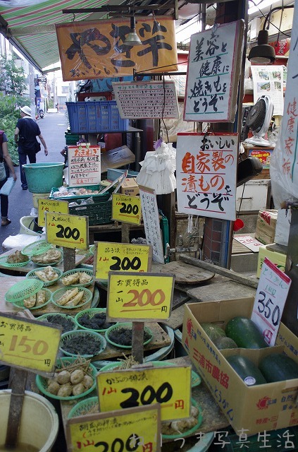 田端・町屋・三ノ輪をてくてくてく (8)_a0009142_2313257.jpg