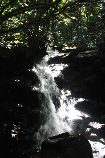 c0093046_8152556.jpg