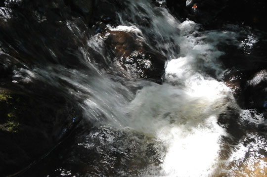 c0093046_81552.jpg