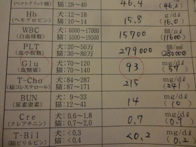 退院後初めての検査_e0169149_2138871.jpg