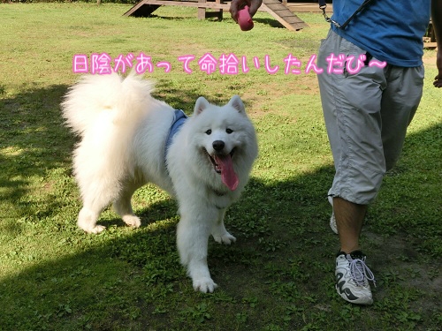 a0166954_18425880.jpg