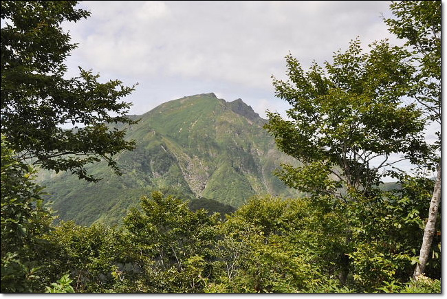 谷川岳・・・天神平～天神峠へ_b0053765_13322549.jpg