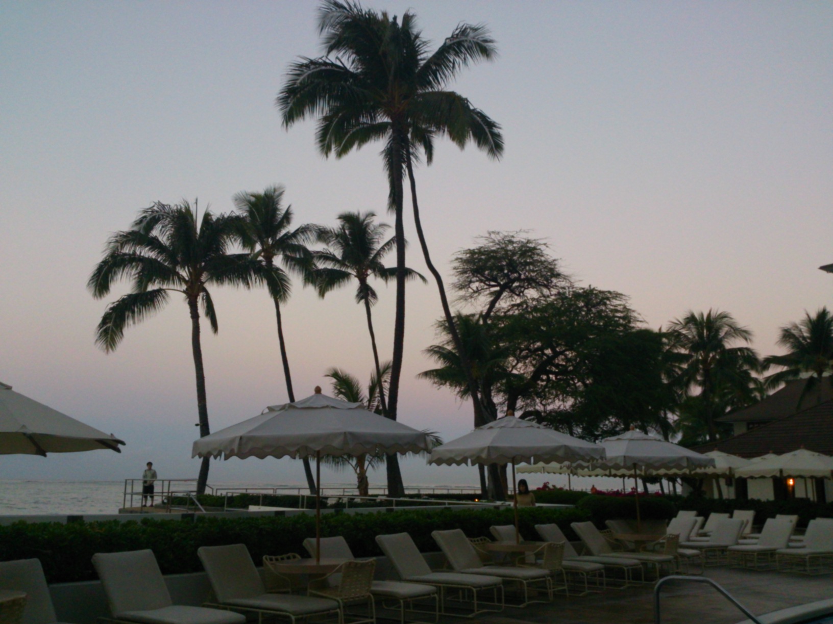 c0100865_229257.jpg
