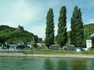 e0195766_545278.jpg