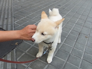 f0138768_703360.jpg