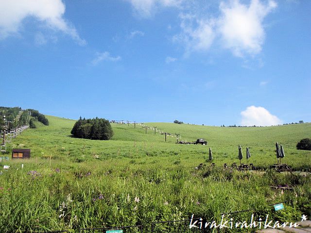 夏の信州ビーナスラインの旅②　車山高原展望リフト　おまけ✿_e0173670_1634548.jpg