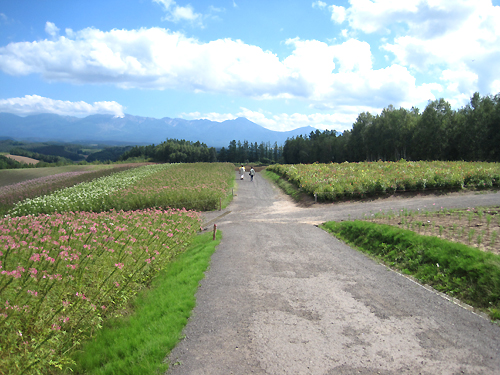 f0134670_0314629.jpg