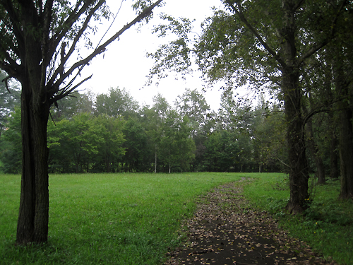 f0134670_031524.jpg