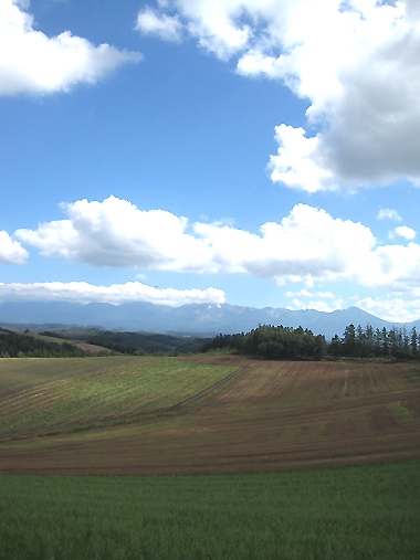 f0134670_0322281.jpg