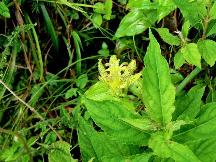 b0185573_101541.jpg