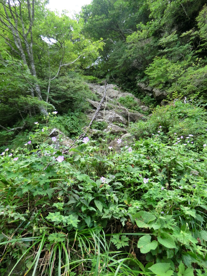 b0185573_11212999.jpg