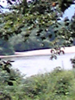 b0206784_1451392.jpg