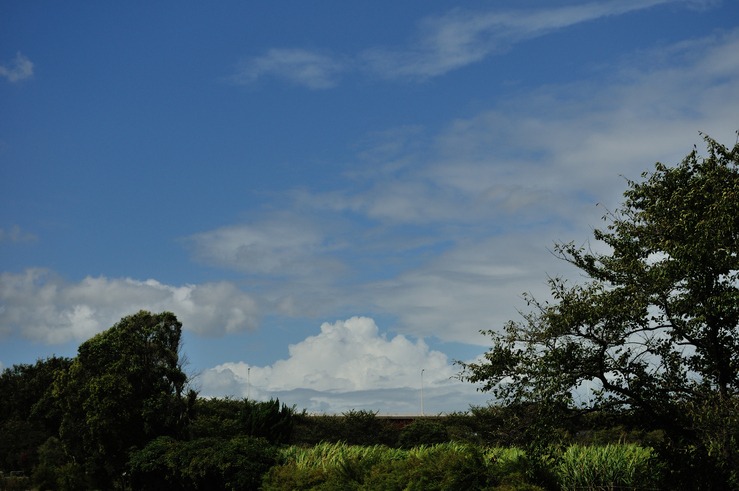 b0217090_0414815.jpg