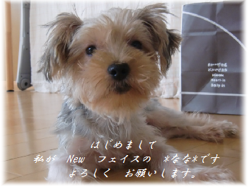 b0232891_1028372.png