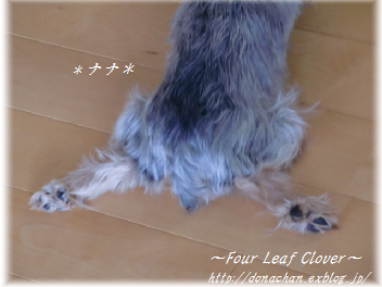 b0232891_1091518.png