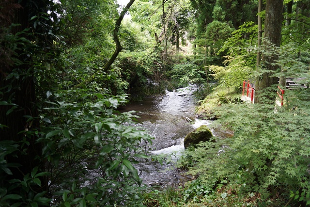 名水・熊本阿蘇郡「白川水源」を訪ねて・・・白川水源の神秘、被災地を励ます白川水源伏流水_d0181492_20301557.jpg