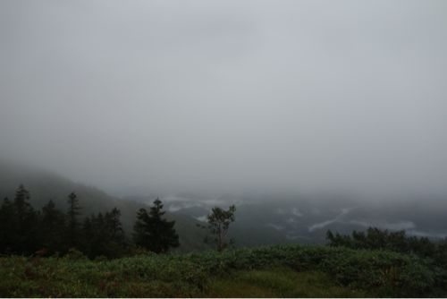c0236197_10423837.jpg