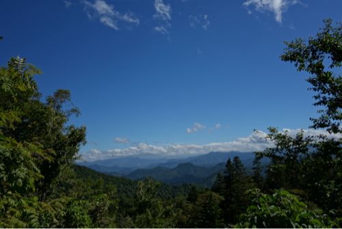 c0236197_959155.jpg