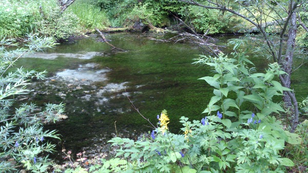 b0232400_112549.jpg