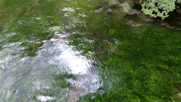 b0232400_114238.jpg