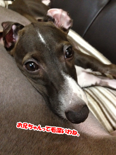 e0290901_1721656.png