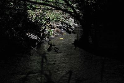 a0278809_22503679.jpg